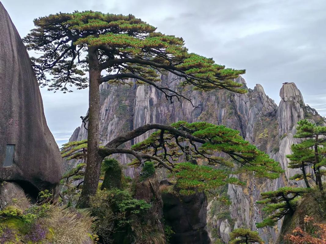 Tour Destination Image