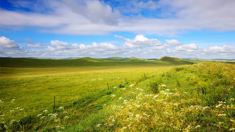 Grassland,Inner mongolia