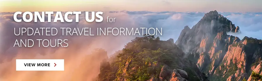 Contact us updated travel information